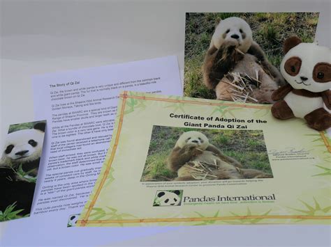 Adopt A Panda Pandas International