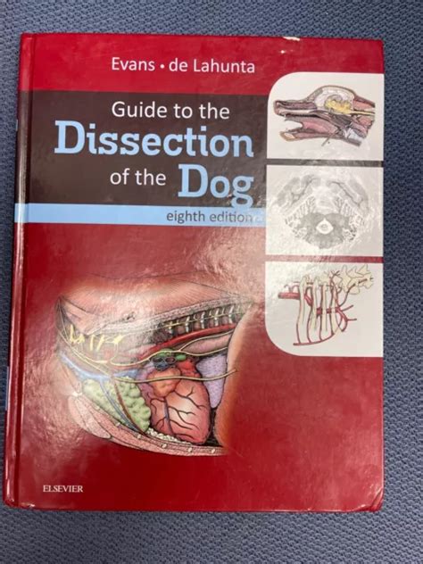 Guide To The Dissection Of The Dog 7th Seventh Edition Evans De