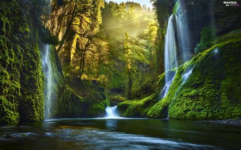 Forest River Light Breaking Through Sky Waterfall Beautiful Views