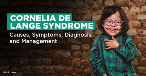 What Is Cornelia De Lange Syndrome