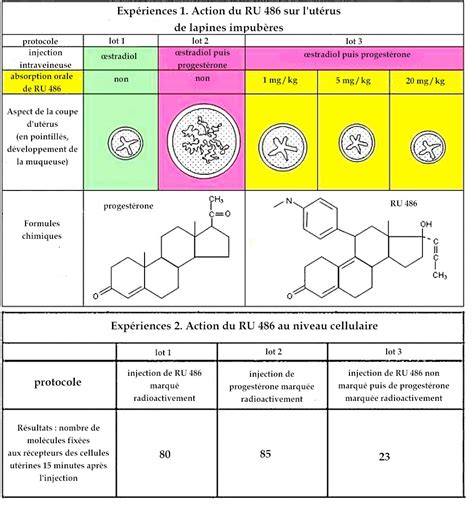 The antiprogestatin drug ru 486 potentiates doxorubicin cytotoxicity in multidrug resistant cells through inhibition of. Banque de documents pour les SVT du lycée: Féminin ...
