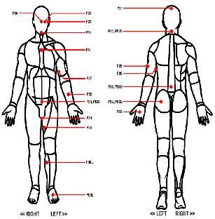 Check spelling or type a new query. Human Body Diagram Outline - ClipArt Best - ClipArt Best