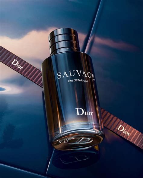 Sauvage Eau de Parfum Christian Dior Kolonjska voda