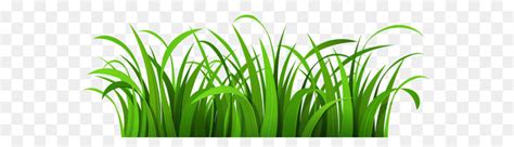 Cartoon Cartoon Grass Trees Png Download 42671811 Free