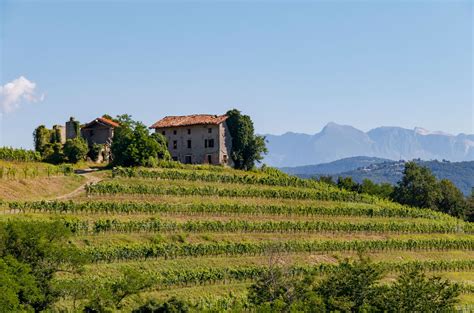 Friuli-Venezia Giulia: Regional profile and wines to try - Decanter