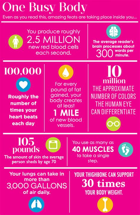 Amazing Facts About Your Body