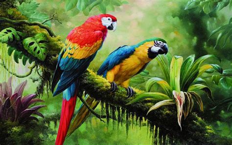 Colorful Macaws in the Rainforest - Image Abyss