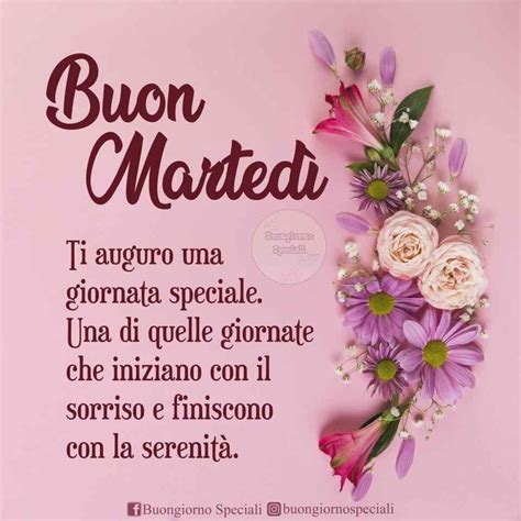 Qui di seguito una raccolta delle più belle immagini del buongiorno per dire buon martedì con l'augurio di passare una splendida giornata. Buon Martedì, immagini da scaricare nel 2020 | Buongiorno ...