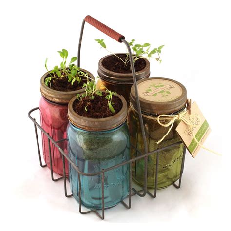 Water so soil is damp but not waterlogged. Garden Jars self-watering planter kits featuring five ...