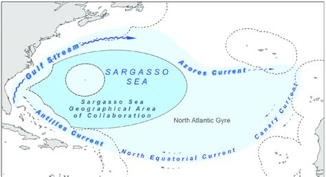 Spatial Extent Of The Sargasso Sea Ecosystem In The North Atlantic