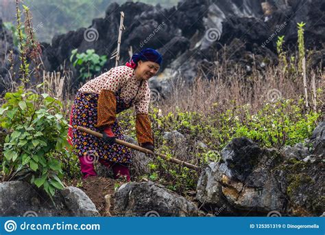 hmong-ethnic-minority-agricultural-worker-editorial-stock-image-image-of-green,-hmong-125351319