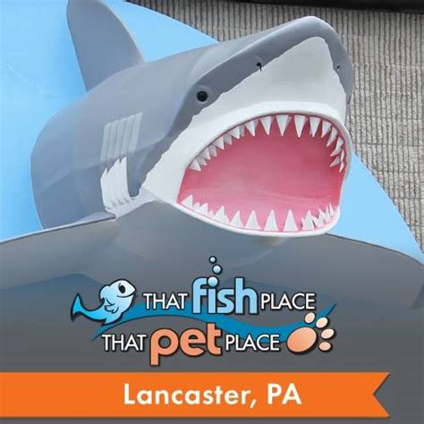 That Fish Place That Pet Place Lancaster Pa Pet Supplies