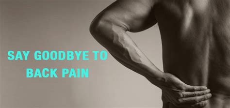 What Is The Best Exercise To Fix Back Pain Equilibrium Sports And