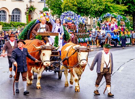 Raise Your Beers For Oktoberfest In Munich Or Elsewhere Travellizy