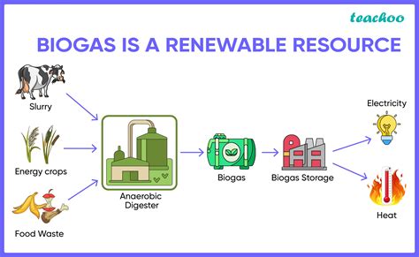 Draw A Neat Labelled Diagram Of Biogas Plant Science Vrogue Co