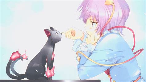 Anime Cats Wallpapers Wallpaper Cave