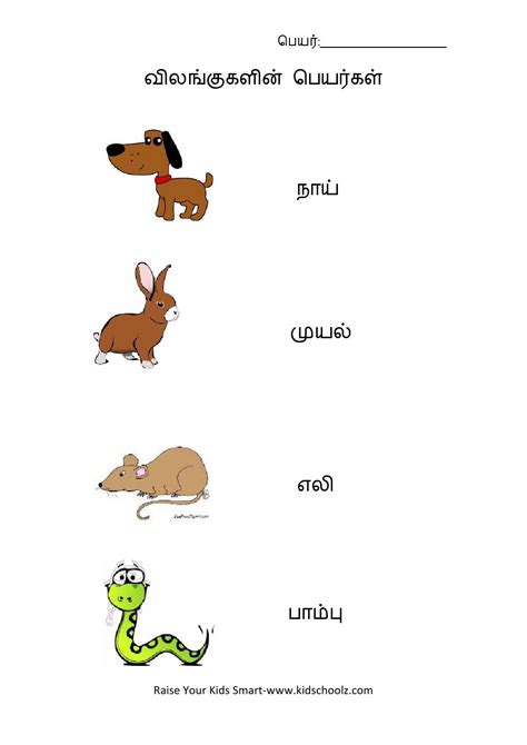 O o o o o o o o o fruits colors vowels consonants farm animals wild animals pet animals vegetables. tamil word to readwith pics for ukg - Google Search (With images) | Preschool learning, Tamil ...