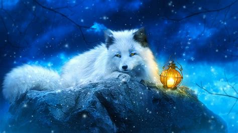 White Fox Wallpapers Top Free White Fox Backgrounds Wallpaperaccess