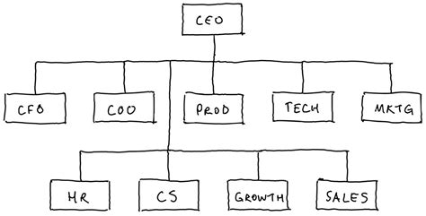 The Anatomy Of A Startup Organisation