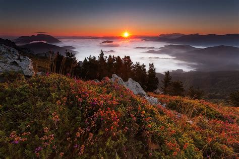 Sunset Over Foggy Mountain Hd Wallpaper Background Image