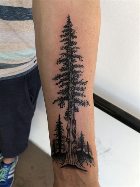 Redwood Done By Avelourd Legaspi At 27 Tattoo Phx Az Tree Tattoo