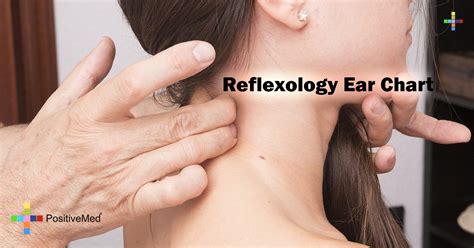 Reflexology Ear Chart Positivemed