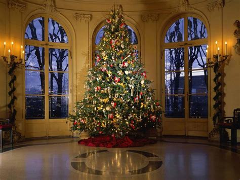 Christmas is almost here, do you feel this holiday spirit? 24 Beautiful Christmas Tree Pictures - Creative ...