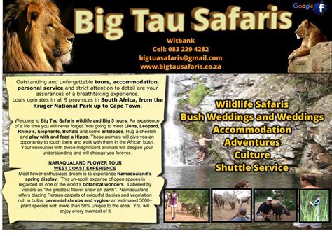 Hotel nei pressi di pulong tau national park. Big Tau Safari's | Kruger national park, National parks ...