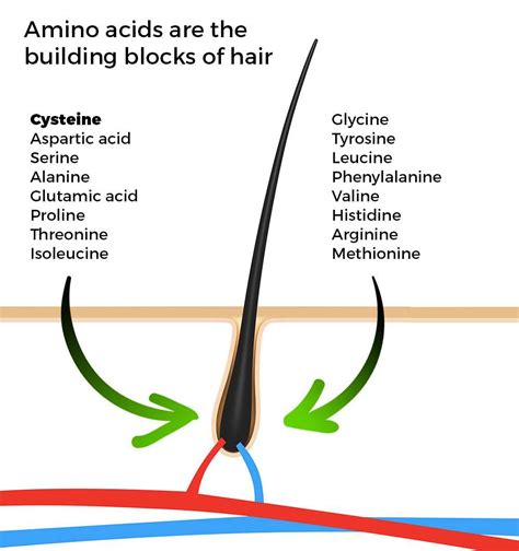 That's why hair growth related to hormonal imbalance tends to if you have a rapid amount of sudden hair growth, especially alongside other health concerns, speak with your healthcare practitioner about a possible. How to Reduce Scalp DHT and Trigger Sudden New Hair Growth ...