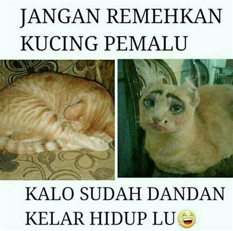 Berarti udah tepat masuk ke artikel ini, karena di dalam artikel kali ini banyak kumpulan gambar lucu mulai dari gambar. 8 Gambar Meme Lucu Gokil Bikin Ngakak Abis Terbaru - Area ...