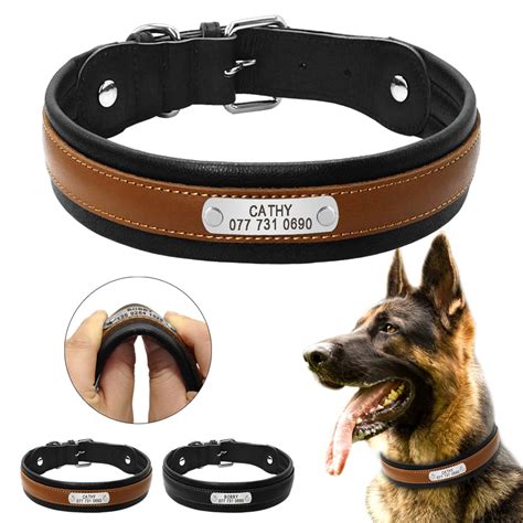 Personalized Dog Collar Customized Dogs Id Collars Inner Padded Leather