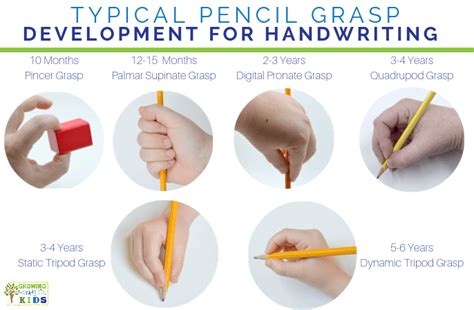 Typical Pencil Grasp Development For Kids Pencil Grasp Development