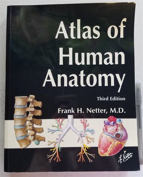 Atlas Of Human Anatomy By Frank H Netter Md Very Good Soft Cover