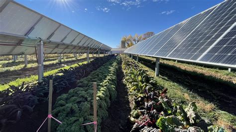 This Colorado Solar Garden Is A Farm Under Solar Panels What If Solar Panels And Farming