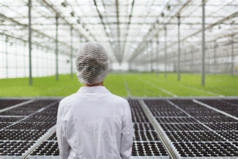 Is aphria inc a good investment? Aphria gains EU GMP certification to ship medical cannabis ...