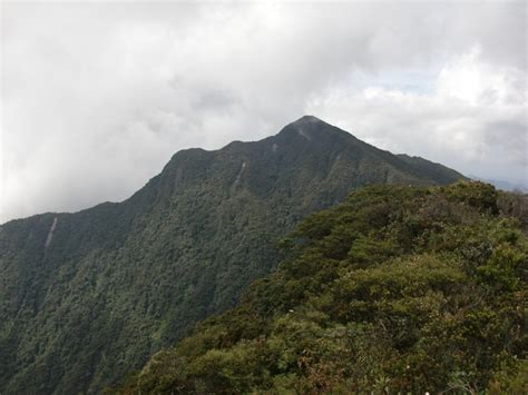 Bagaimanapun, gunung tahan adalah lebih rendah daripada gunung kinabalu yang merupakan gunung tertinggi di malaysia dan borneo. 6 Deretan Gunung Tertinggi yang Ada di Malaysia Ini Patut ...