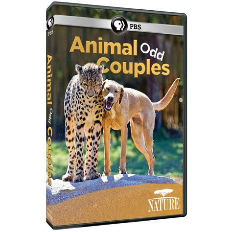 Nature Animal Odd Couples Dvd