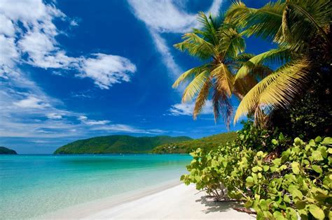 Escape To The Tropics The Top Five Caribbean Islands To Visit This Winter