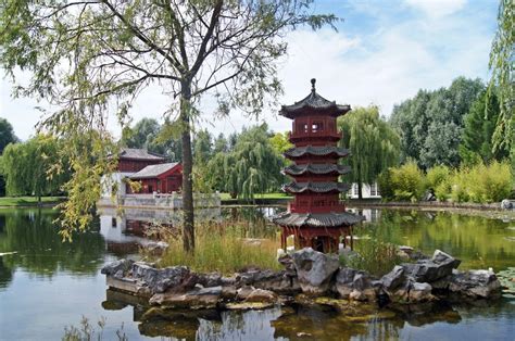 Search the world's information, including webpages, images, videos and more. Kostenlose foto : Baum, Wasser, Blume, See, Teich ...