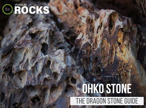 Dragon Stone Rock For Aquarium Nerd Penguin