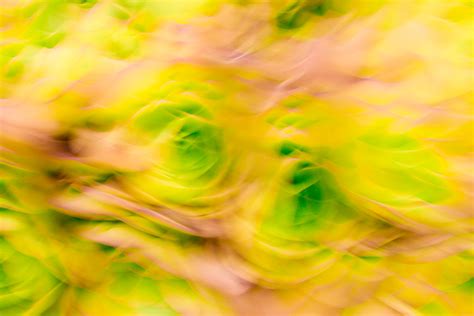 Fine Art Photography Abstract Expressionism Artist Art Sale