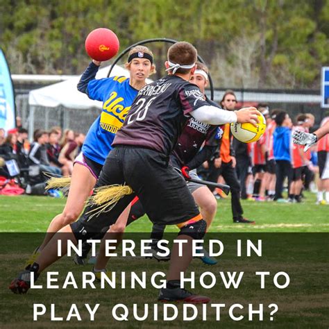 Two quidditch teams play against one another in quidditch, the most popular sport in the wizarding world. How to Play Quidditch From Harry Potter | HobbyLark