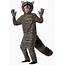 Adult Raccoon Costume  Halloween Ideas 2019
