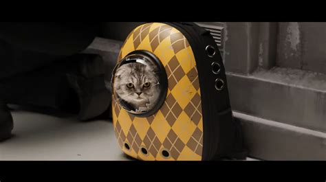 I am here for the cat in Matthew Vaughn's latest film, Argylle