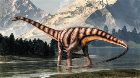 Long Necked Dinosaurs Sauropods Exhibit Exploration Exhibits