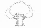 Coloring Oak Tree Nature Pear Landscape Winter sketch template