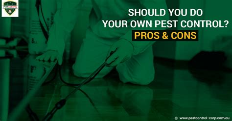 Many different chemicals are used to kill pests. Should You Do Your Own Pest Control? Pros & Cons