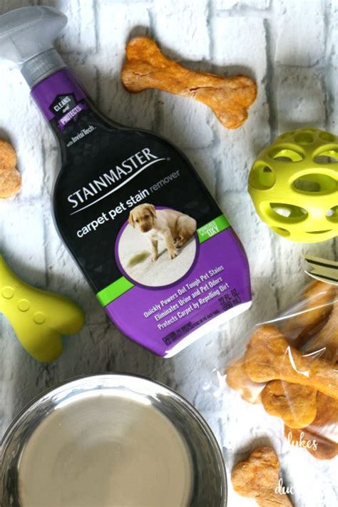 Shop with confidence on ebay! Homemade Pumpkin Dog Biscuits in a New Puppy Gift Basket ...