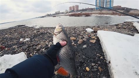 Голавль на джиг зимой Рыбалка в центре города YouTube