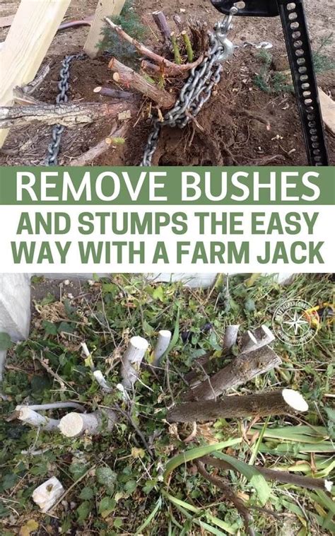 We know that david hasselhoff would pay a contractor to remove a shrub or bush from his yard but the rest of us usually take care of something like this there's two common ways to remove a shrub or bush but you won't be happy with the results from these methods. Remove Bushes and Stumps the Easy Way with a Farm Jack in ...